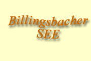 Billingsbacher See - Logo